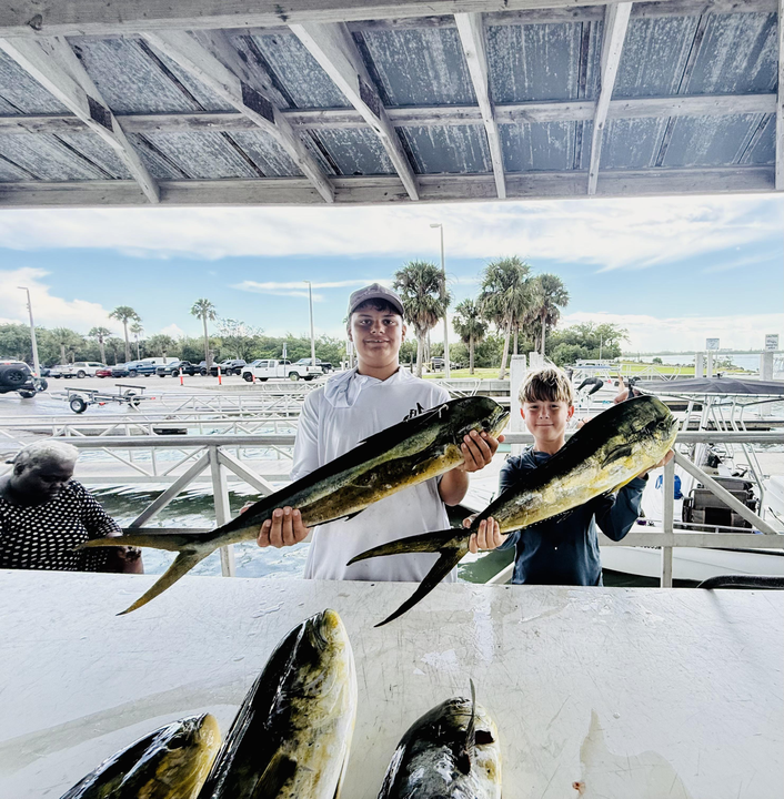 Nice Mahi Mahi action today using deep sea trolling techniques!