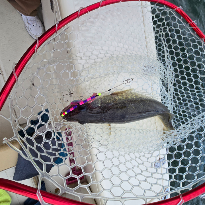 Partly cloudy skies set the stage for a perfect day of jigging and trolling!
