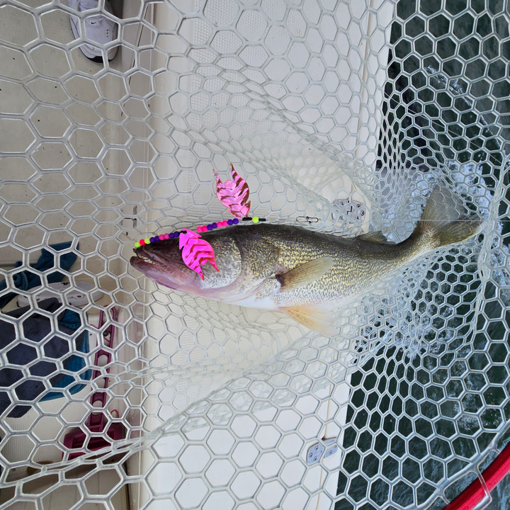 Partly cloudy skies set the stage for a walleye adventure at East Harbor!