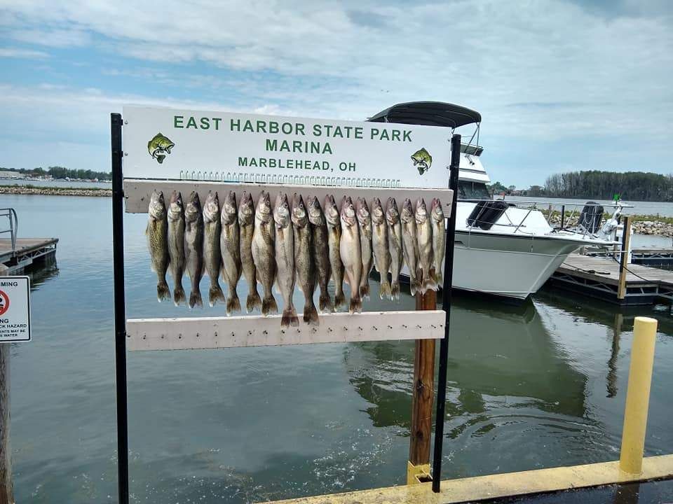 Fishing at an unknown location