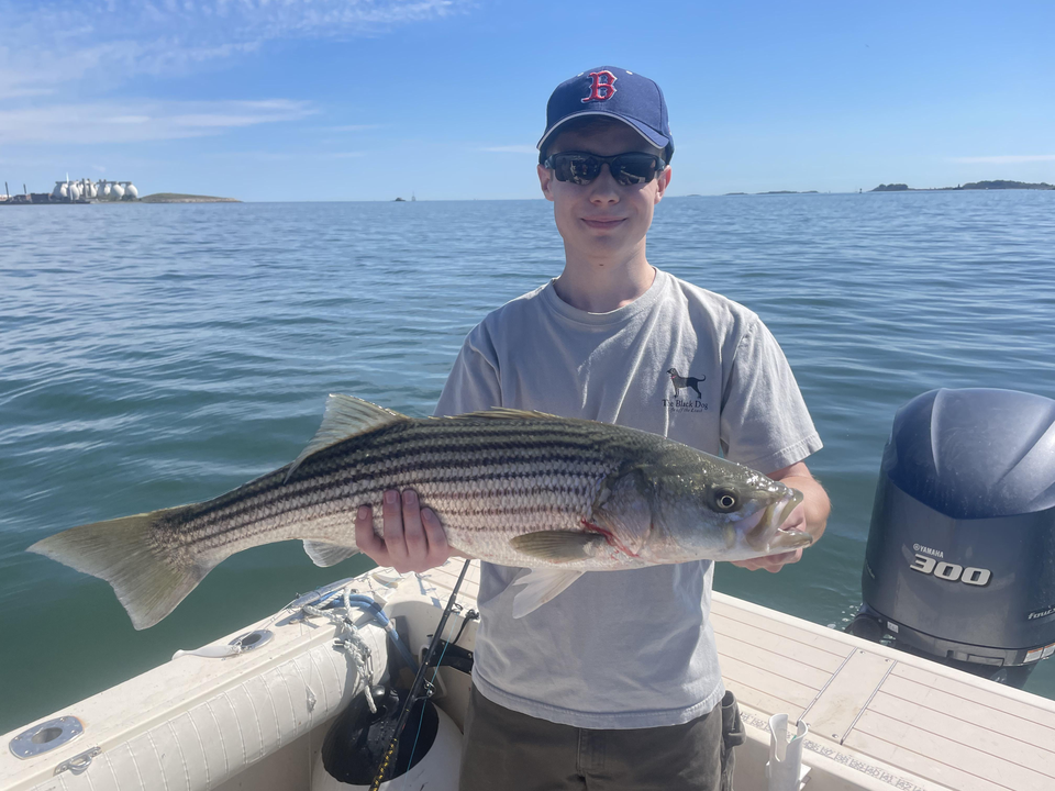 Nice striped bass on light tackle! Deep sea jigging and trolling produced this exciting catch.