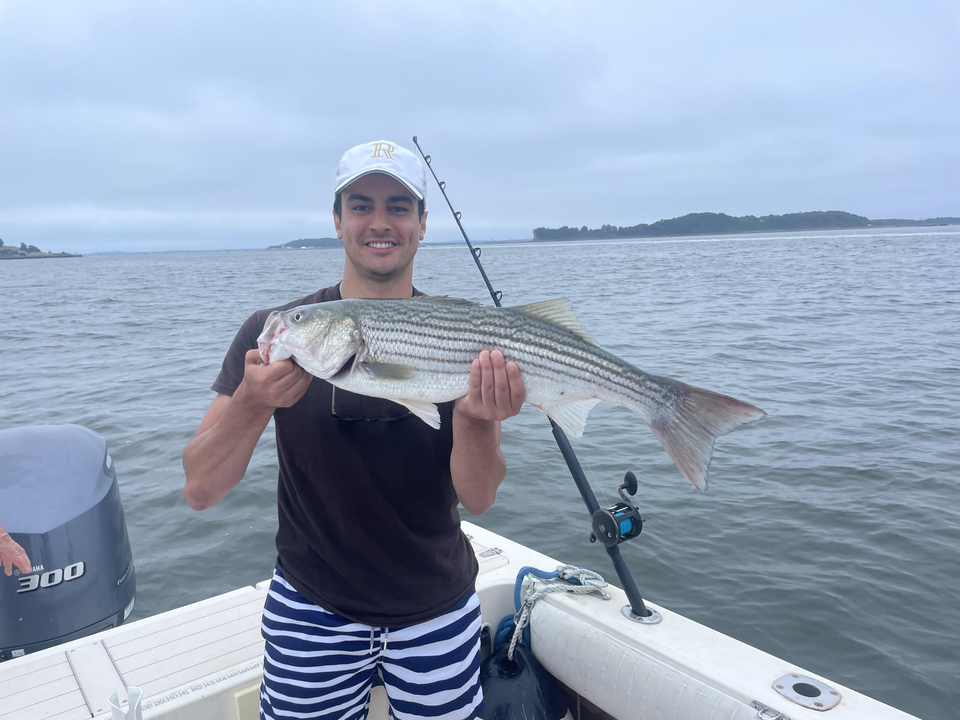 Huge 28-inch Striped Bass landed using deep sea jigging techniques!