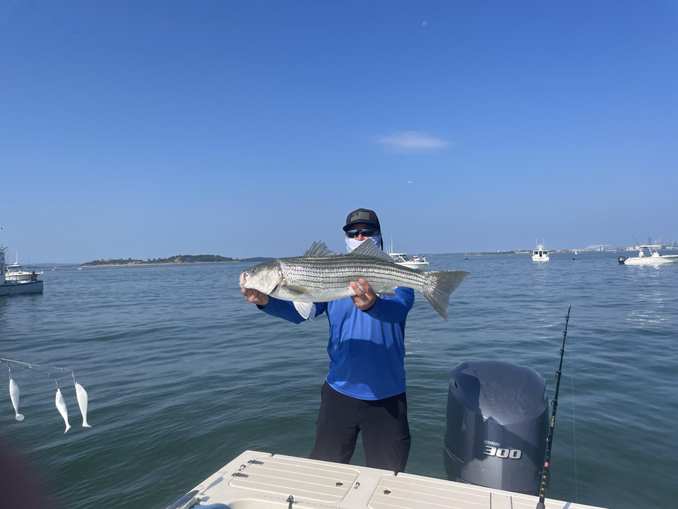 Reeling in the striper action with some deep sea magic in Hingham!