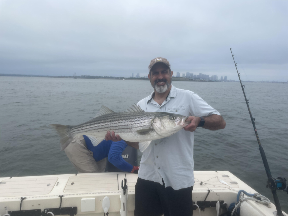 Big Striped Bass lands in Hingham after epic deep sea battle!