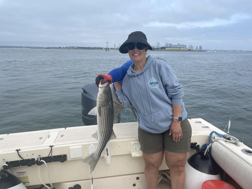 Big Striped Bass reeled in from the depths of Hingham!