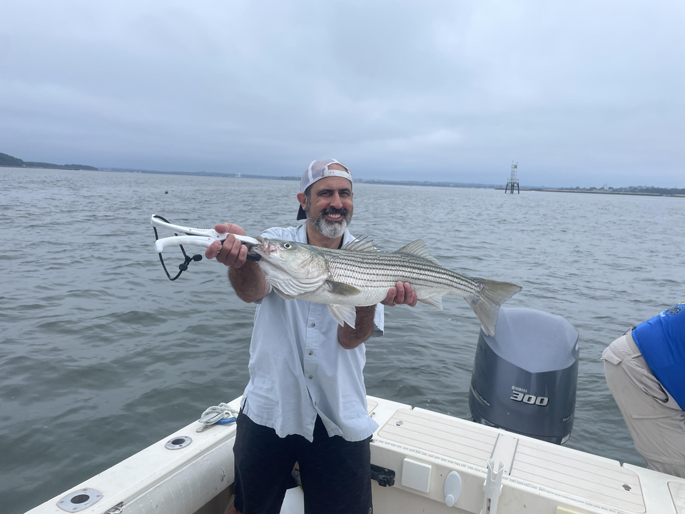 Big Striped Bass caught while deep sea jigging in Hingham!