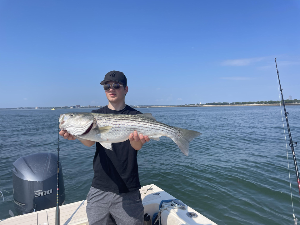 Big Striped Bass reeled in while deep sea jigging off Hingham!