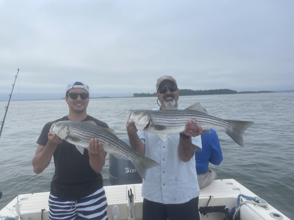 Two big Striped Bass caught deep sea fishing off Hingham!