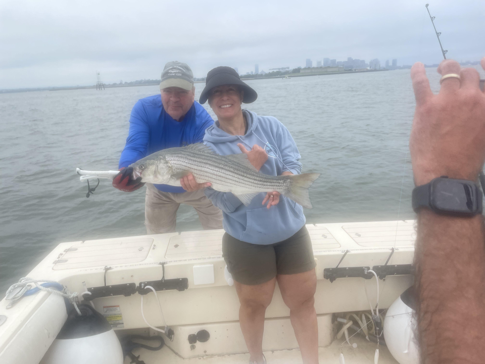 Big Striped Bass hooked while deep sea jigging off Hingham!