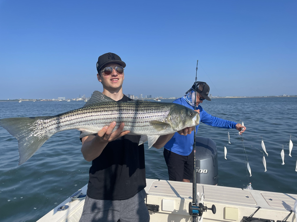 Huge Striped Bass landed in clear conditions off Hingham!