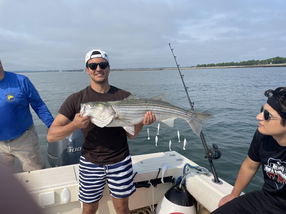 Huge Striped Bass reeled in while trolling off Hingham!