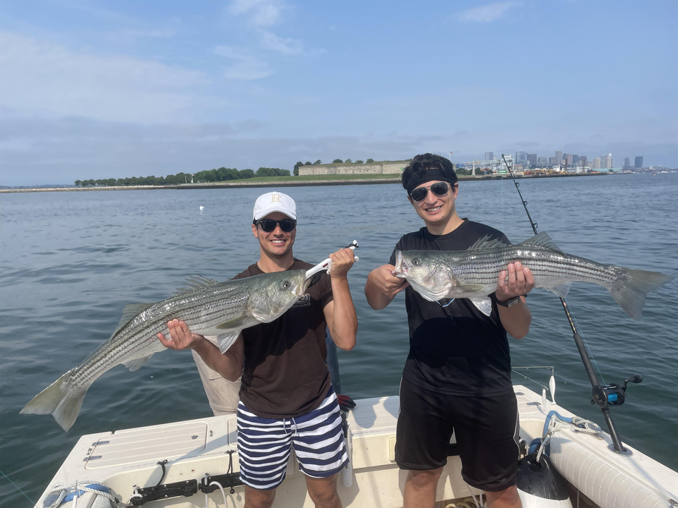Huge Striped Bass haul using expert deep sea techniques!