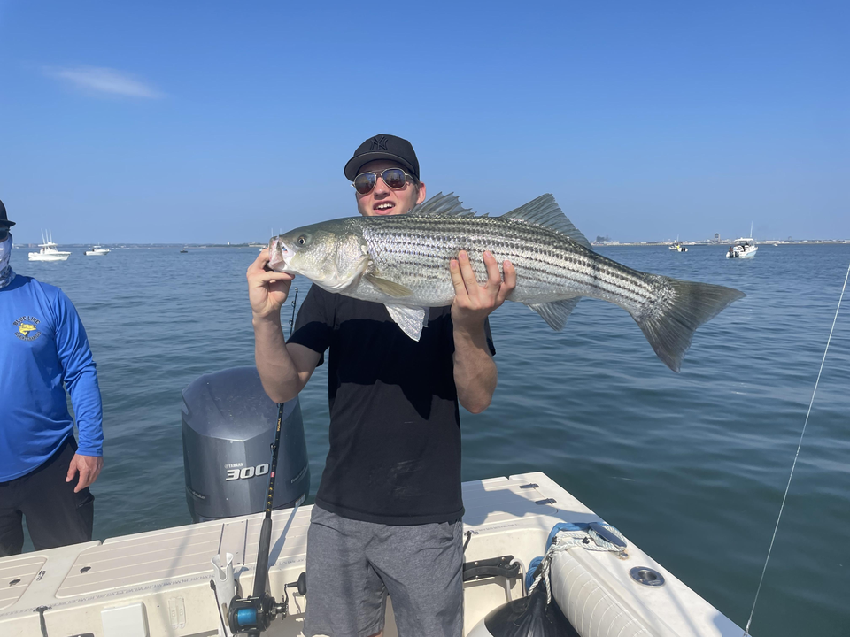 Huge 36-inch Striped Bass reeled in on a clear day!