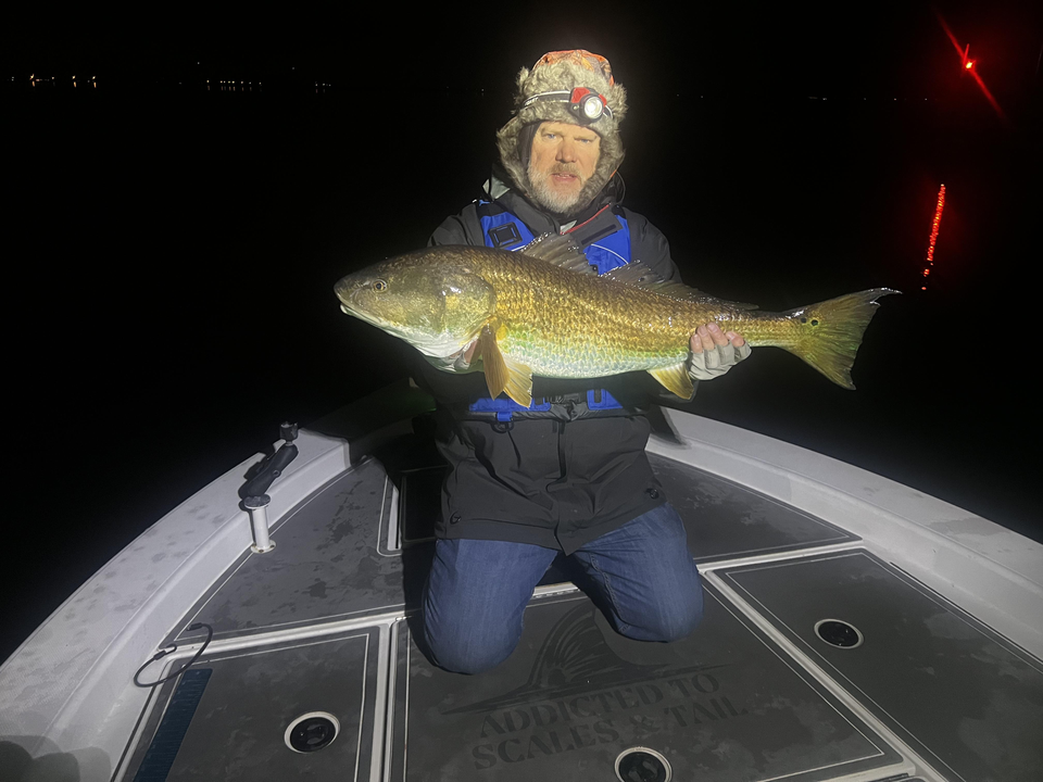 Caught a big one on a quiet night out on the water.