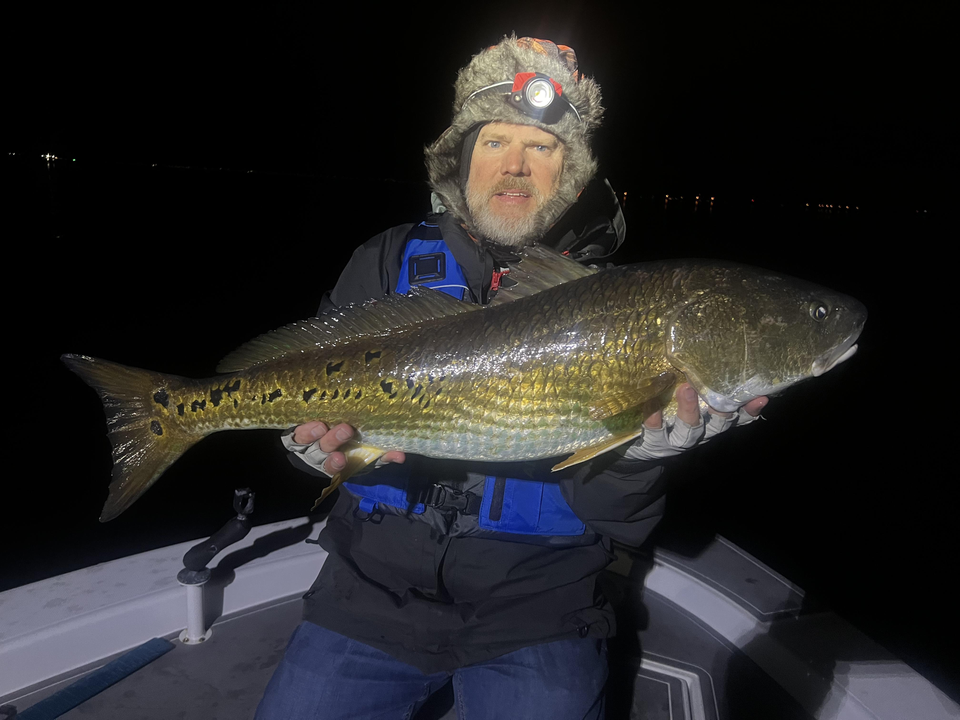 Impressive catch of the night!