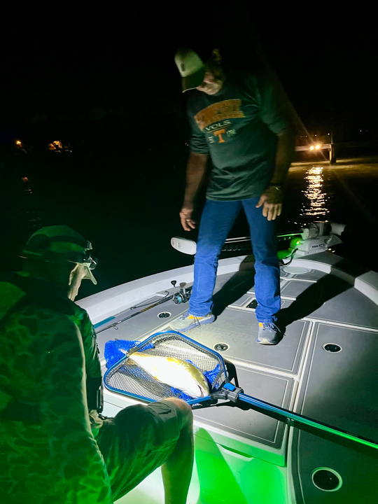 Great night out with jigging and fly fishing techniques paying off!