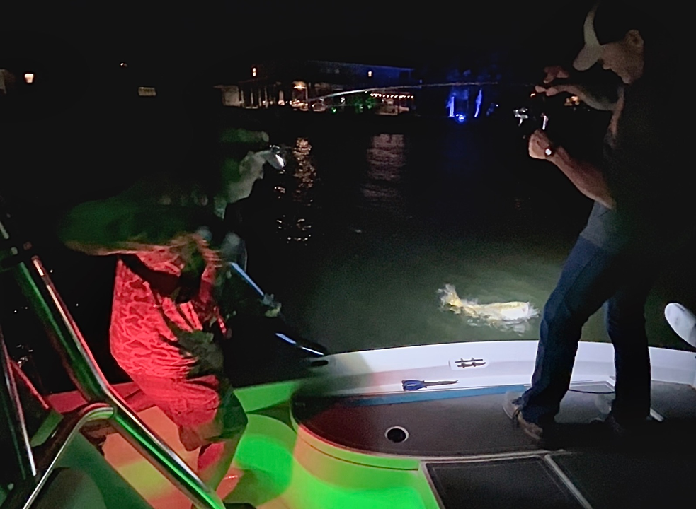 Great night session using jigging and fly fishing techniques near the dock lights!