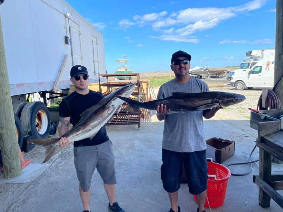Two anglers fishing in an unknown location