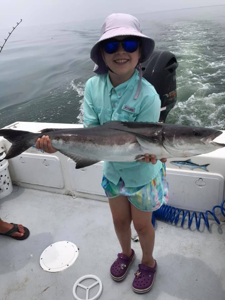A majestic cobia, a 26-inch catch
