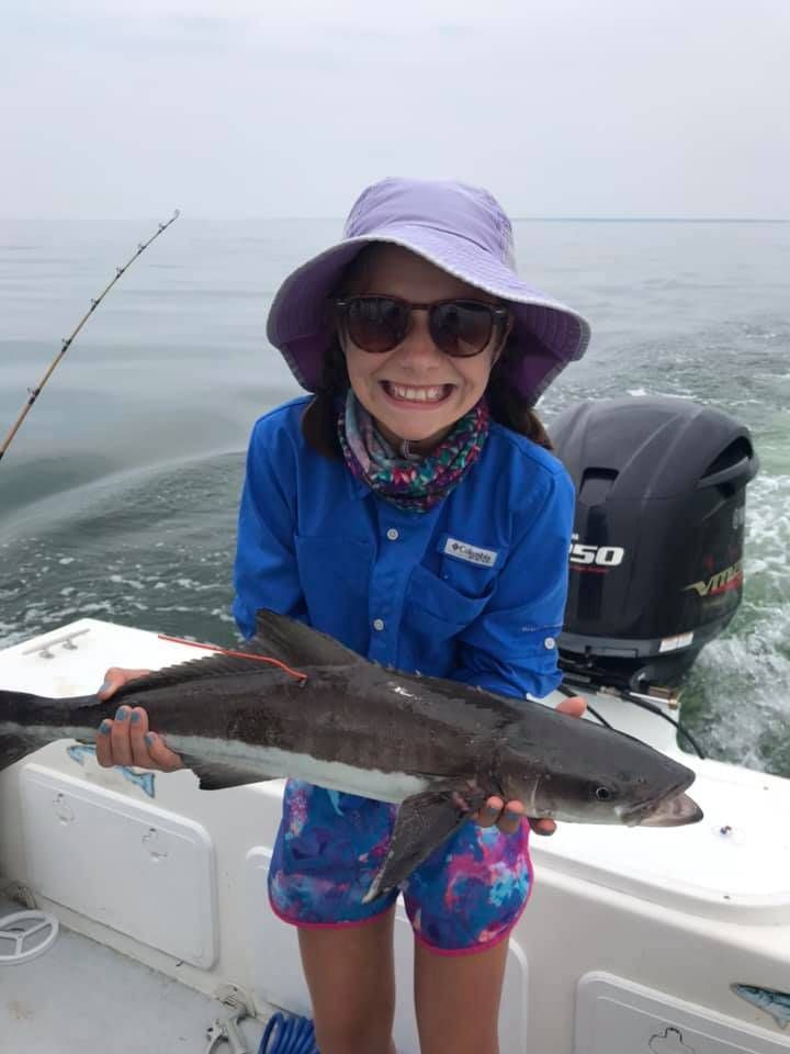 Cobia fish caught while fishing