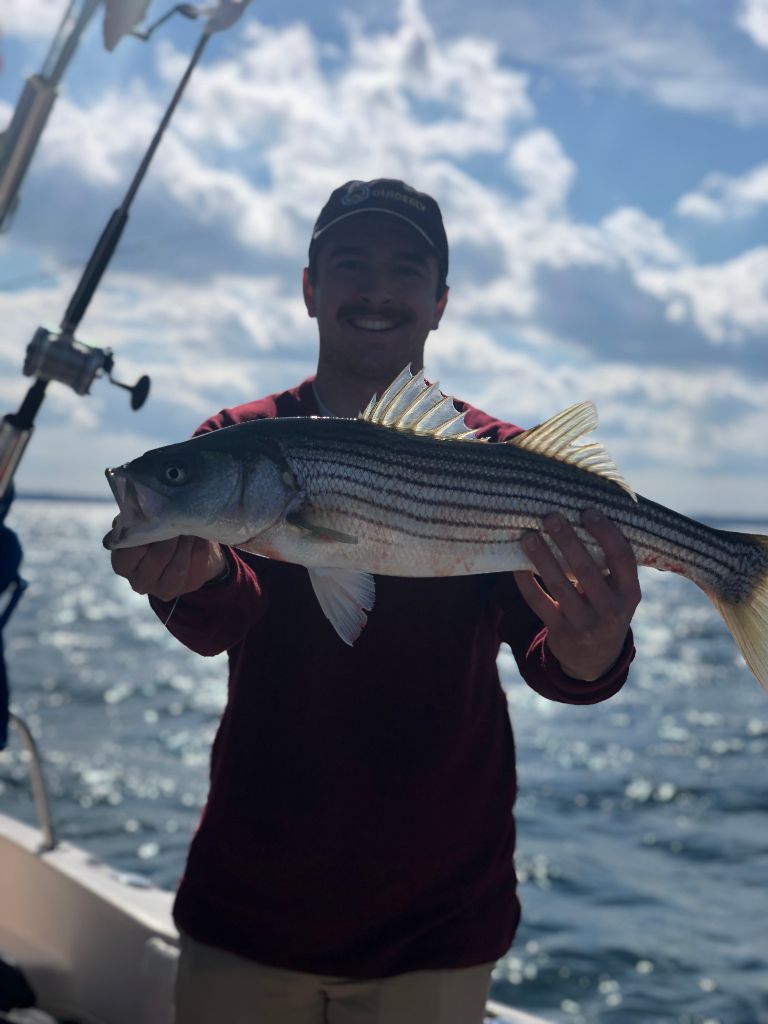 Striped bass caught while fishing