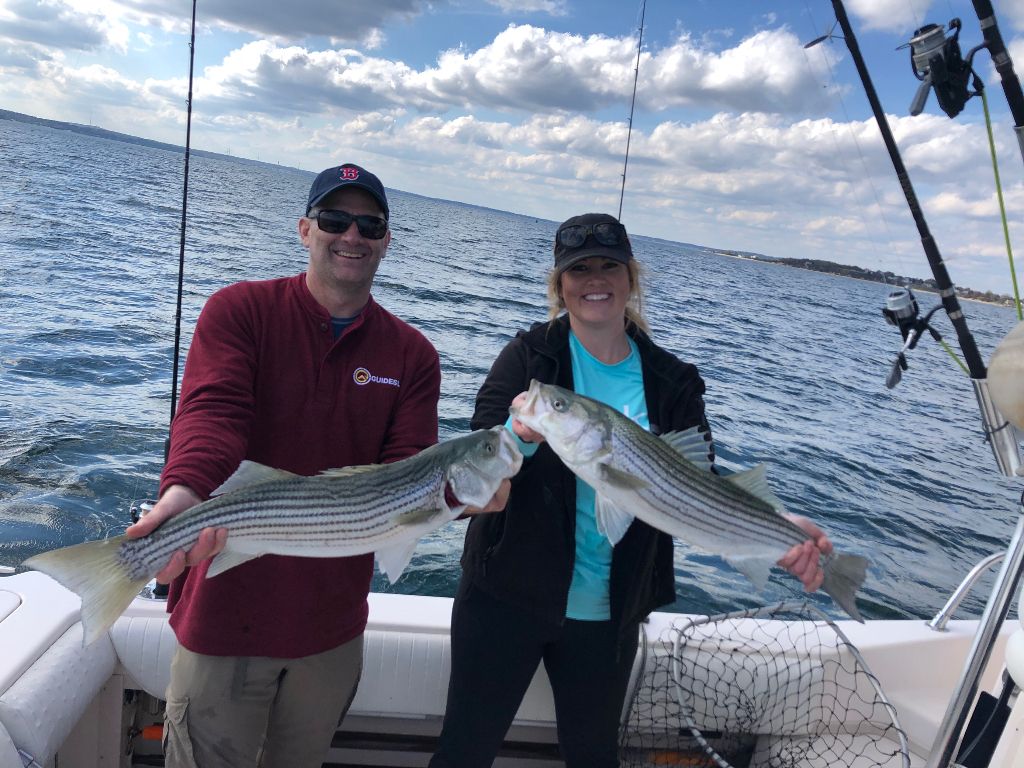 Two striped bass caught while fishing
