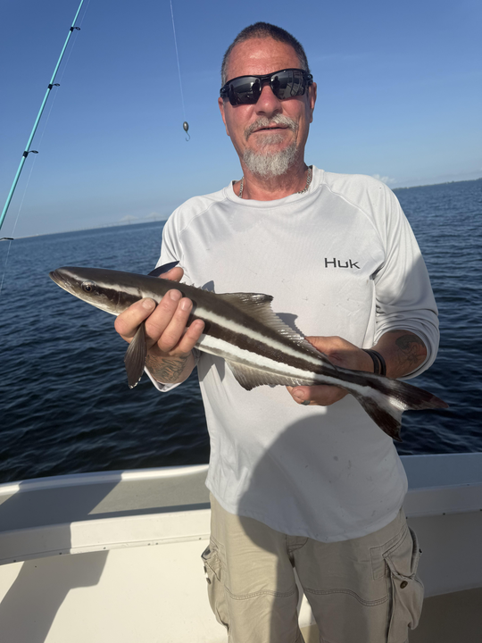 Stormy skies and deep sea action: the perfect recipe for Cobia in St. Pete!
