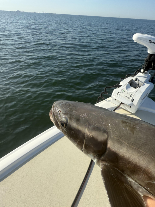Storms brewing, but the fishing techniques are hotter than ever in St. Pete!