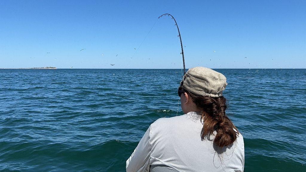 Fishing in a scenic location