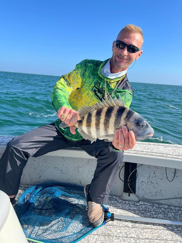 Sheepshead fish caught on fishing trip