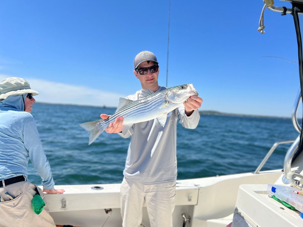 Striped bass caught while fishing