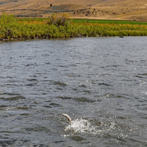 Fishing in an undisclosed location