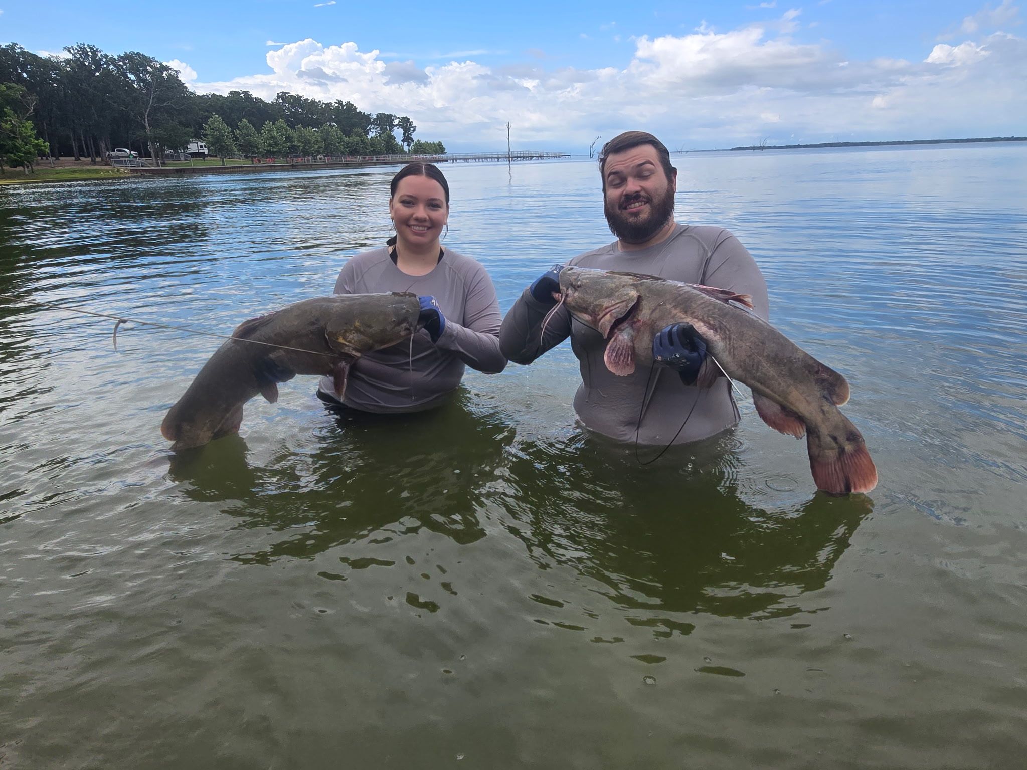 Two large flathead catfish being held in shallow lake water