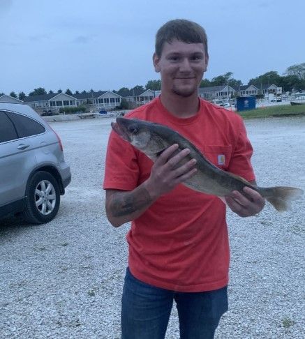 A person fishing in an unknown location