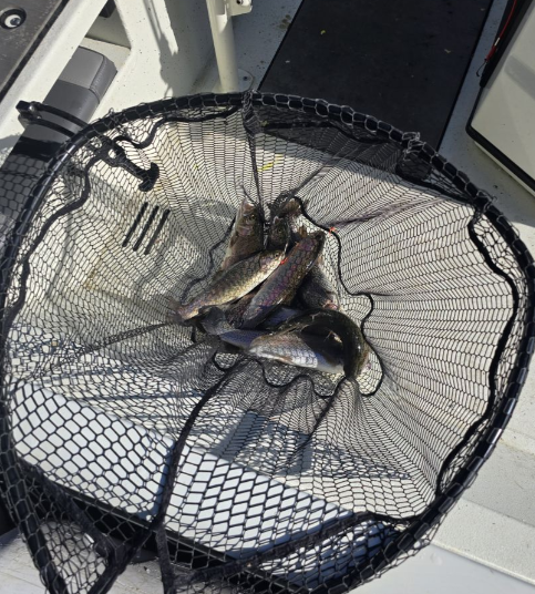 Fishing in a scenic location