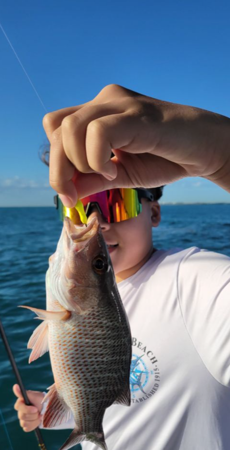 Fishing for a grey snapper in an unknown location