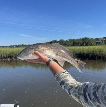 Redfish caught while fishing at an unknown location