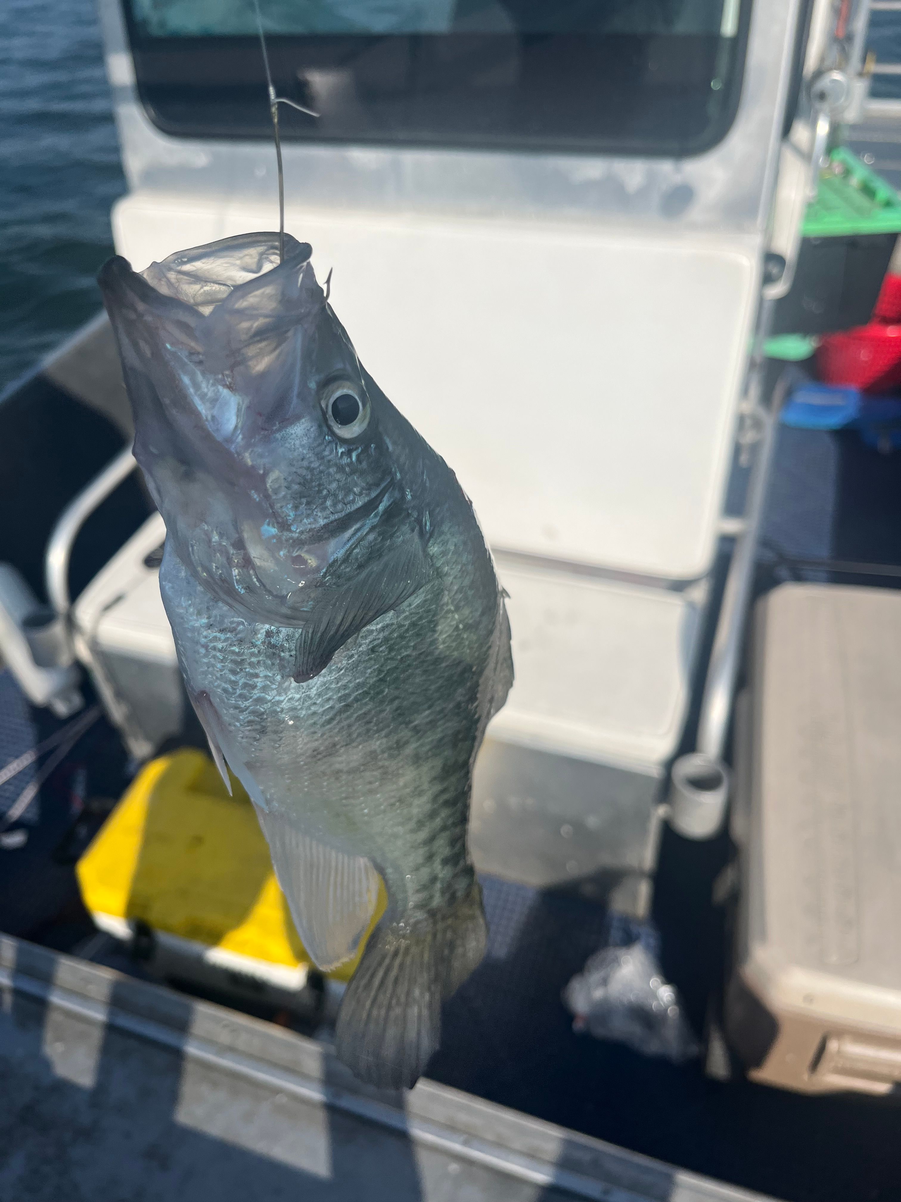 Fishing in an unknown location