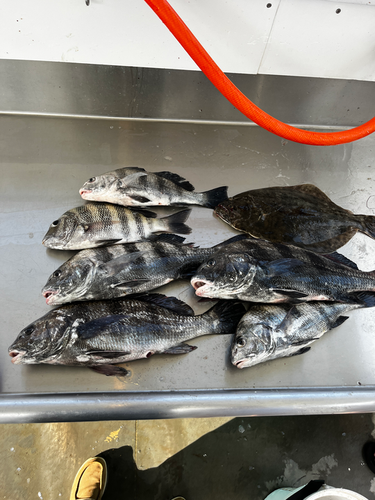 Loaded up with a variety of tasty fish on this epic fishing adventure!