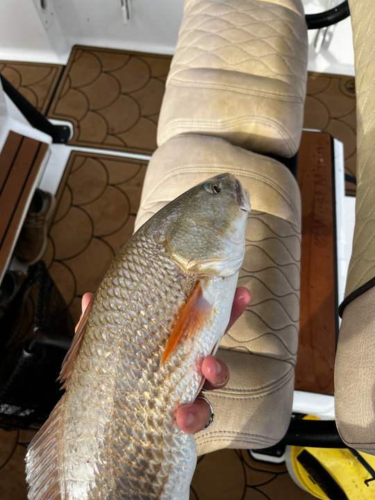 Reeling in a redfish on a partly cloudy day with storm clouds brewing!