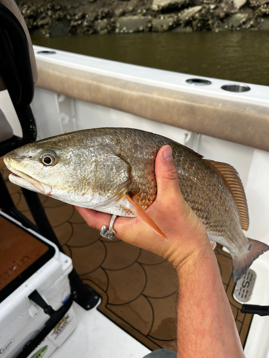 Reeling in redfish gold in stormy Savannah!