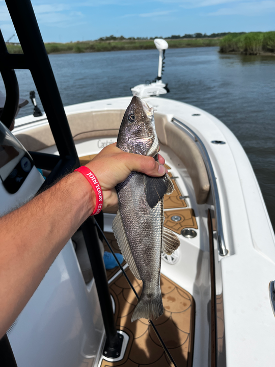 Great catch using deep sea jigging and light tackle on the river today!