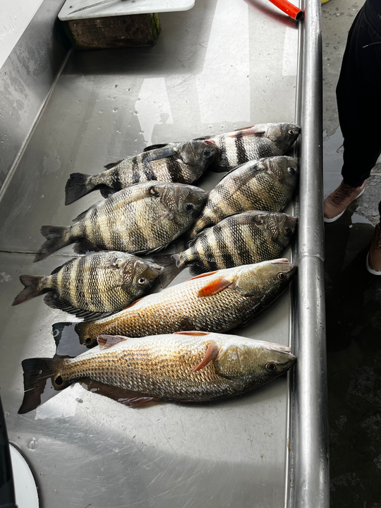 Caught a variety of fish on the river thanks to some tricky techniques!