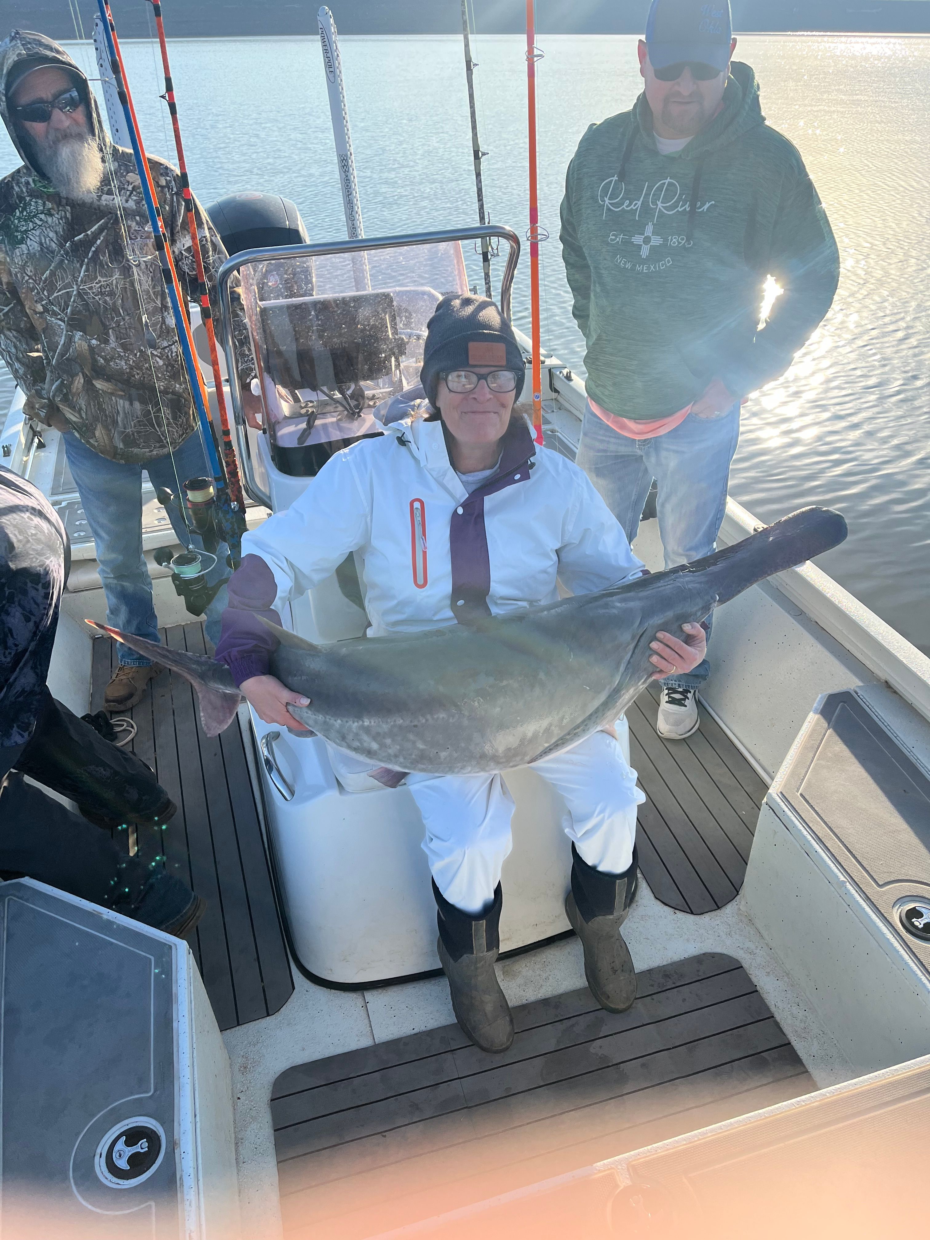 Freshly caught shark displayed on fishing boat deck