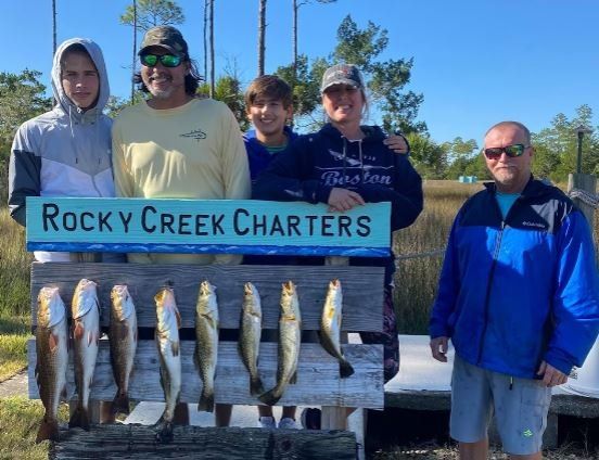 8 yellow bullhead fish caught during fishing