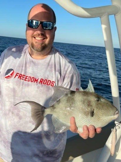 Grey triggerfish caught while fishing