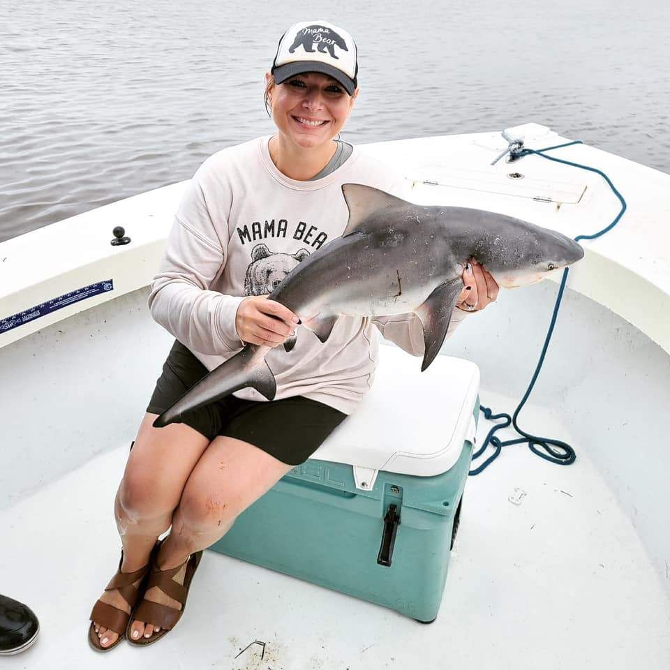 Sandbar shark caught while fishing