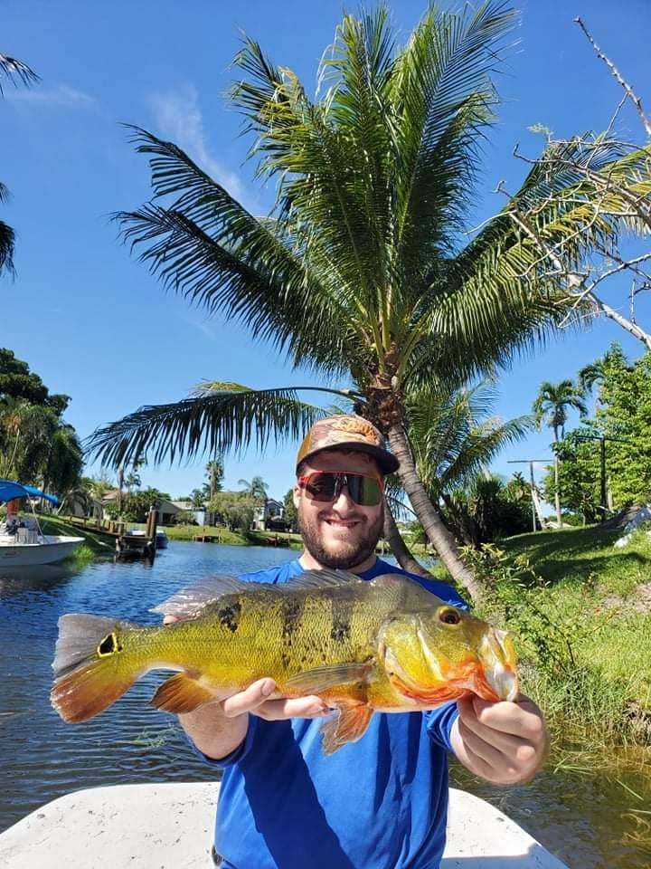 Peacock bass caught while fishing