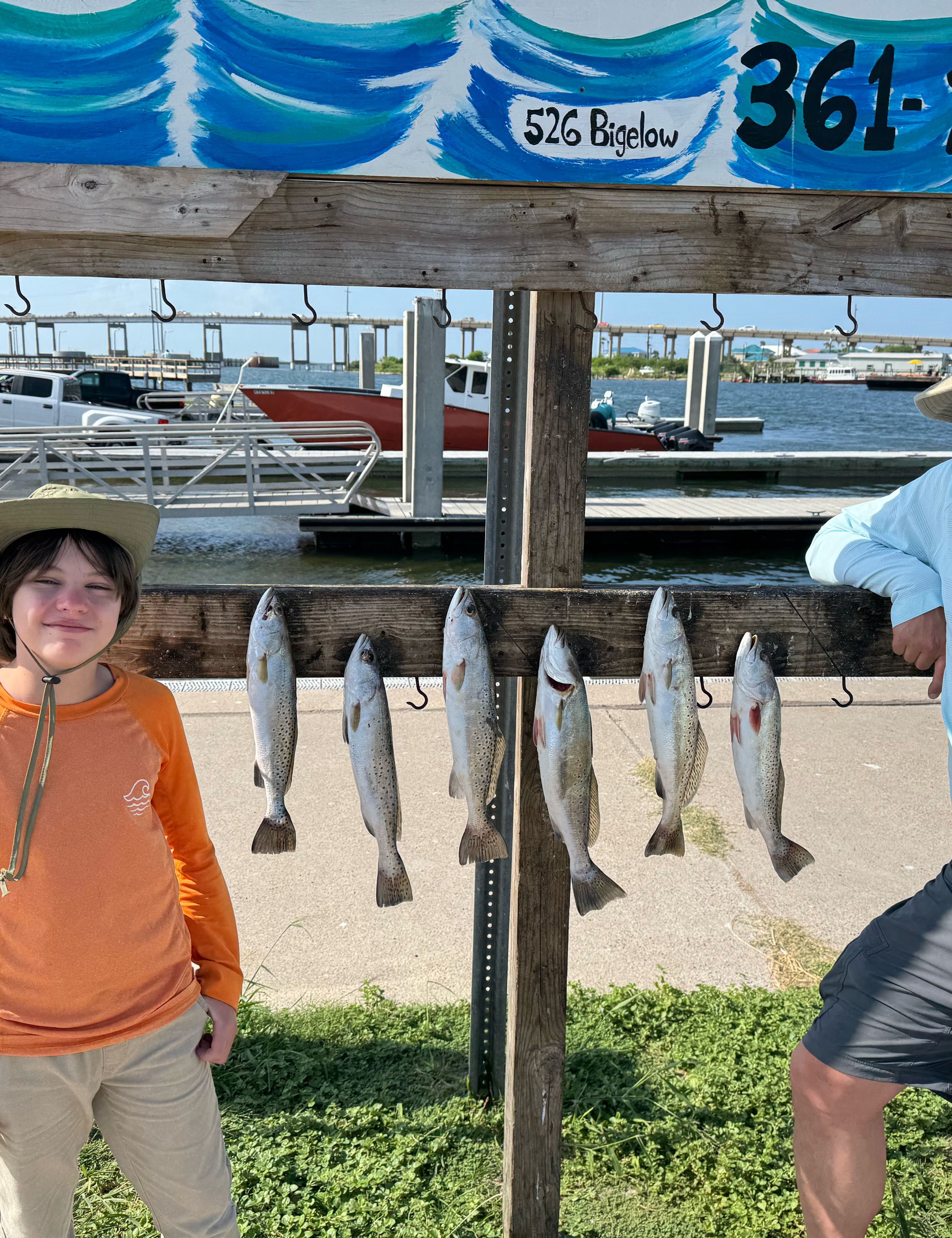 Six speckled trout hanging on fishing cleaning station hooks at marina dock