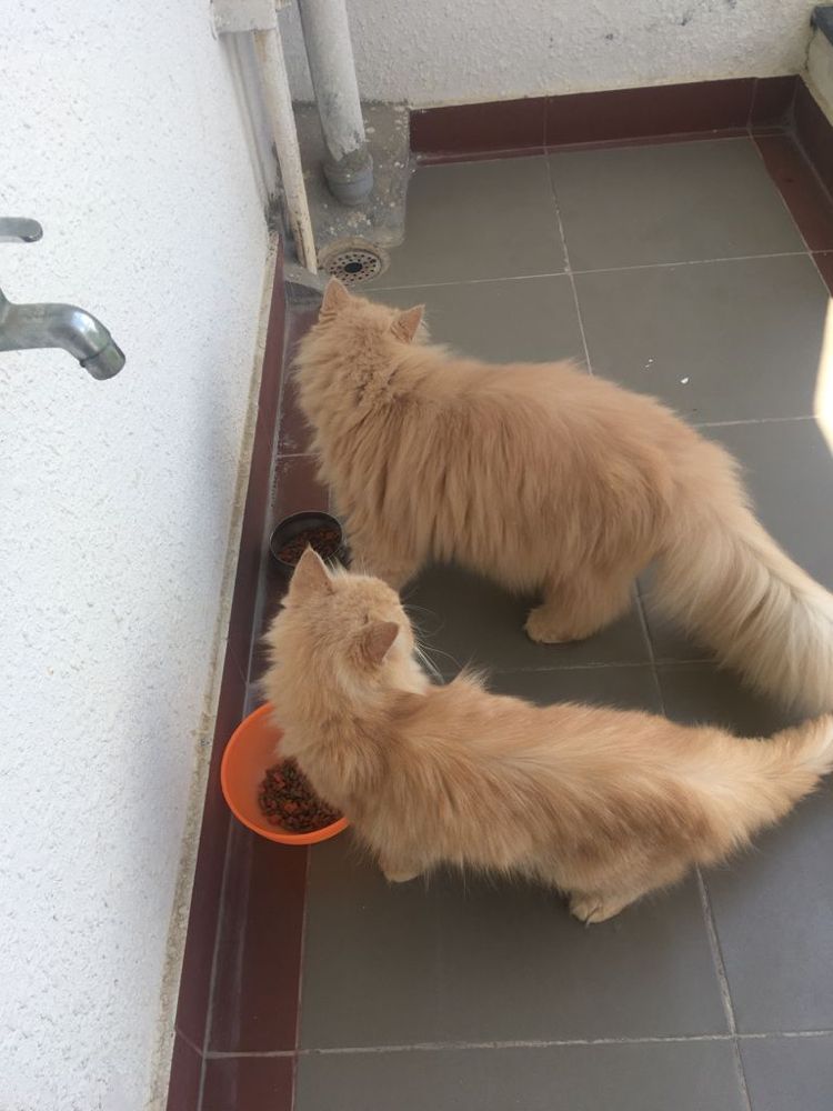 A fishing scene at an unknown location